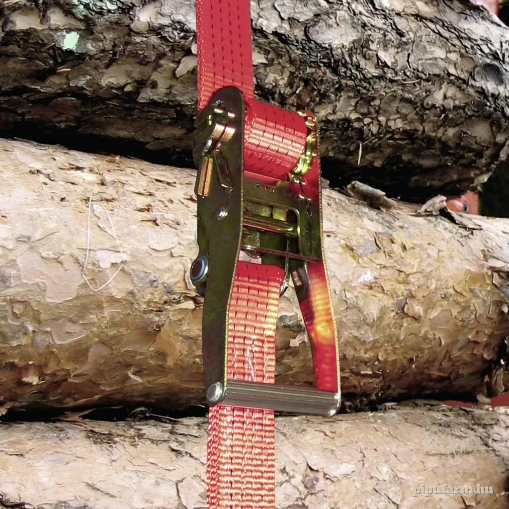 Ergo racsnis rakományrögzítő heveder – 8 m × 50 mm, 2500 kg – 2. kép